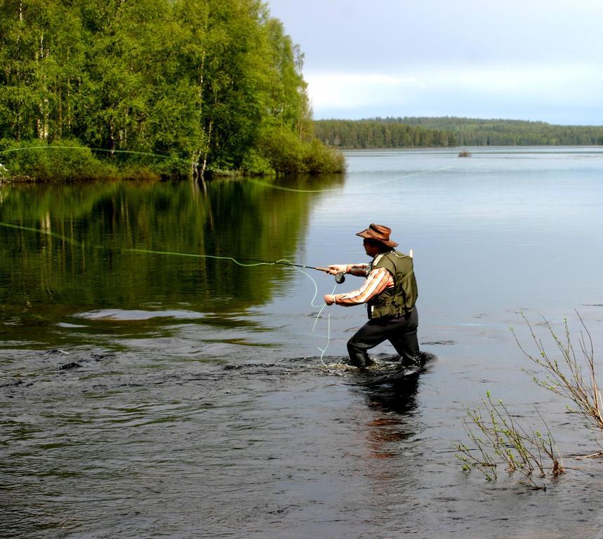 Hotelli Kainuu 3* Kuhmo